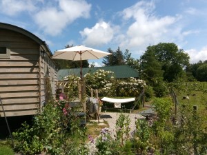 Noddfa shepherd hut at Studio-W in Mid Wales